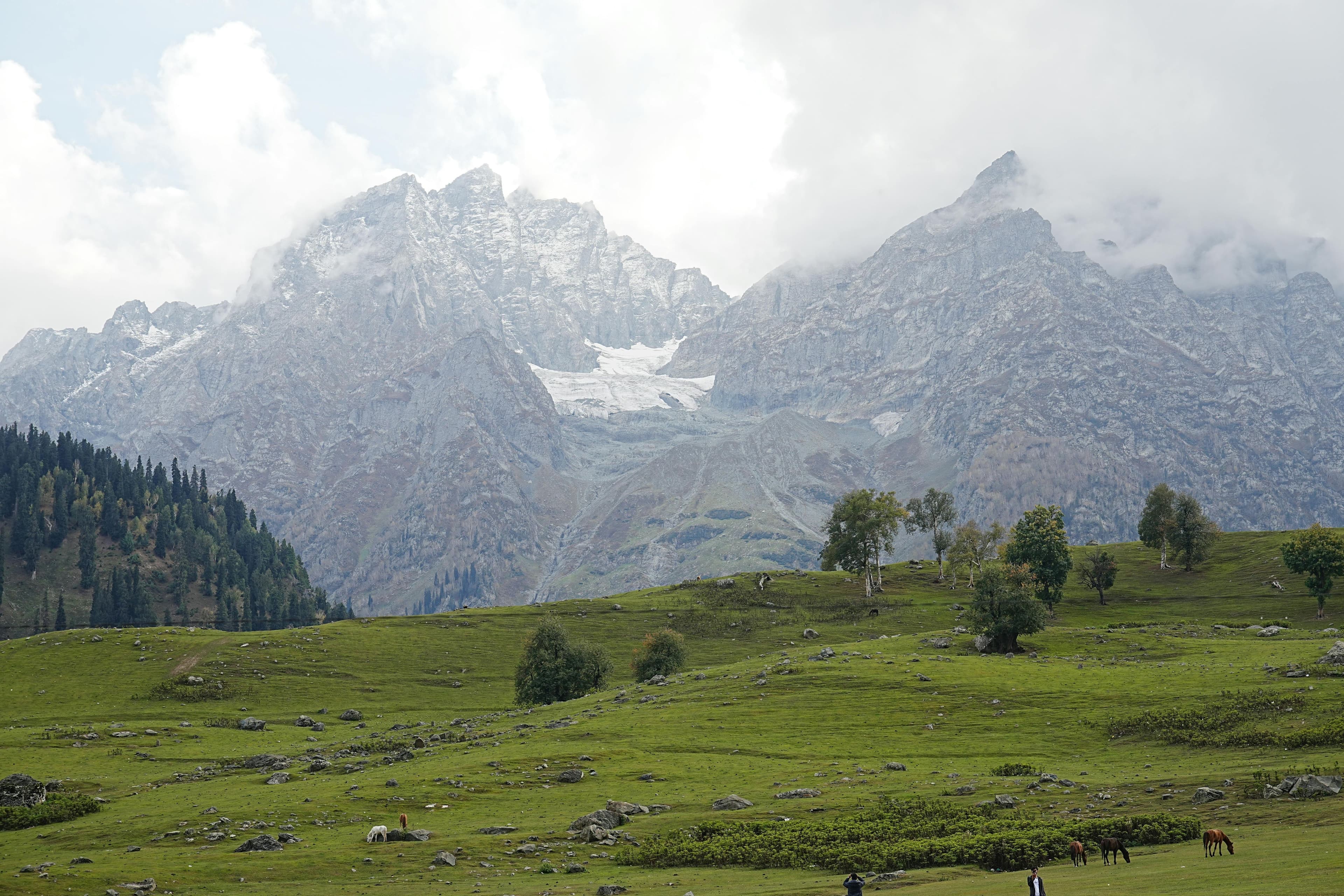 Forest landscape in Gilgit Baltistan